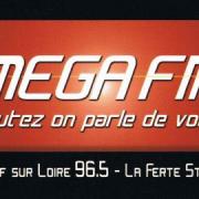 le second logo ( 2009/2012)