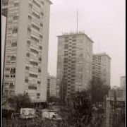 les fameuses tours  avenue de Munster